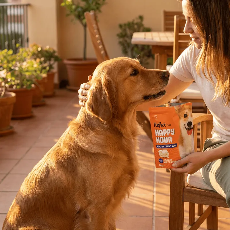 Happy Hour / Healthy & Shiny Coat - Sağlıklı ve Parlak Tüyler için Destekleyici Köpek Ödül Maması 60 Gr