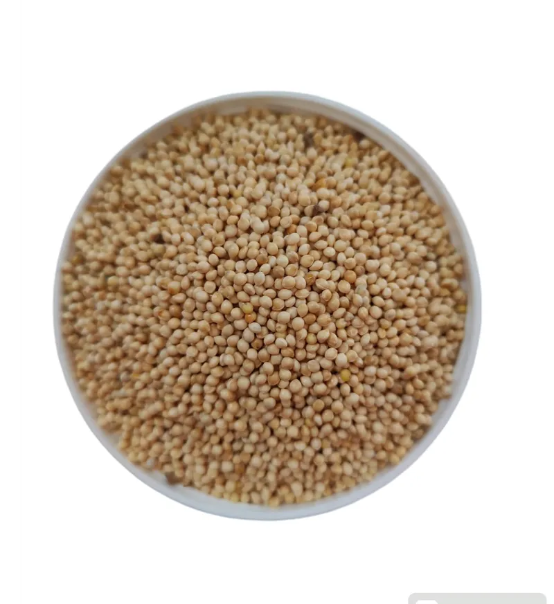 SOYULMUŞ AKDARI (MUHABBET) KUŞ YEMİ