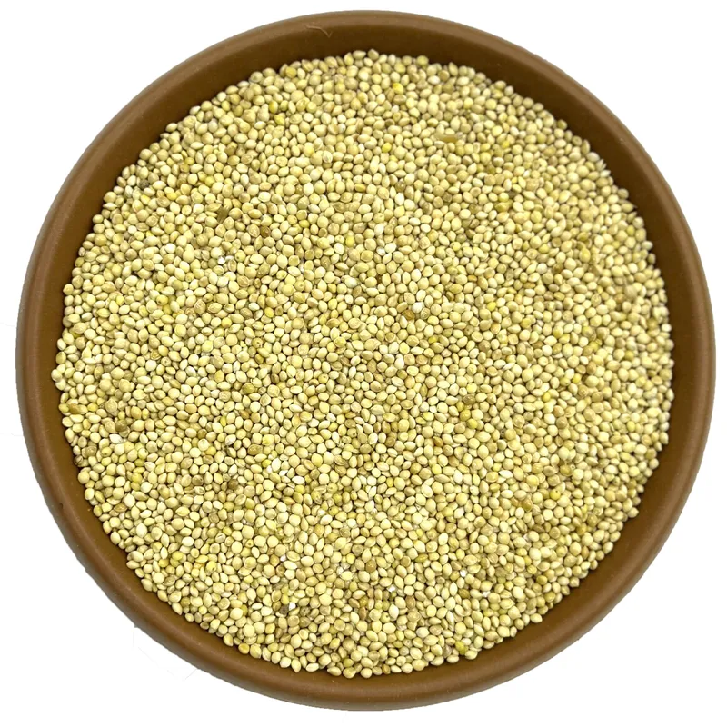 LÜX AKDARI (BEYAZ KUMDARI) KUŞ YEMİ 25 KG