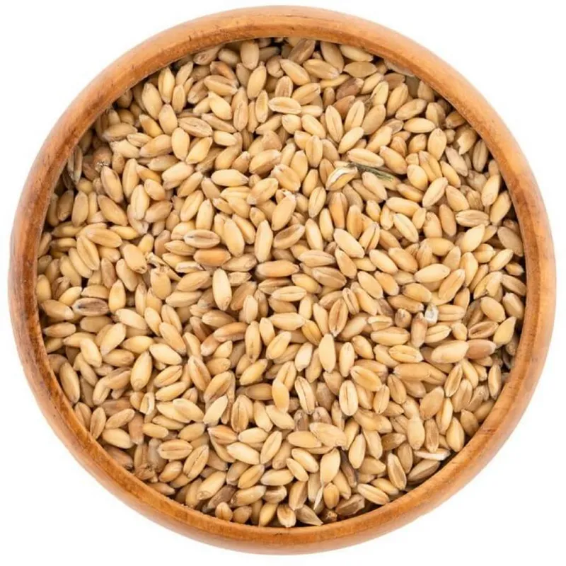 KARA BUĞDAY KUŞ YEMİ