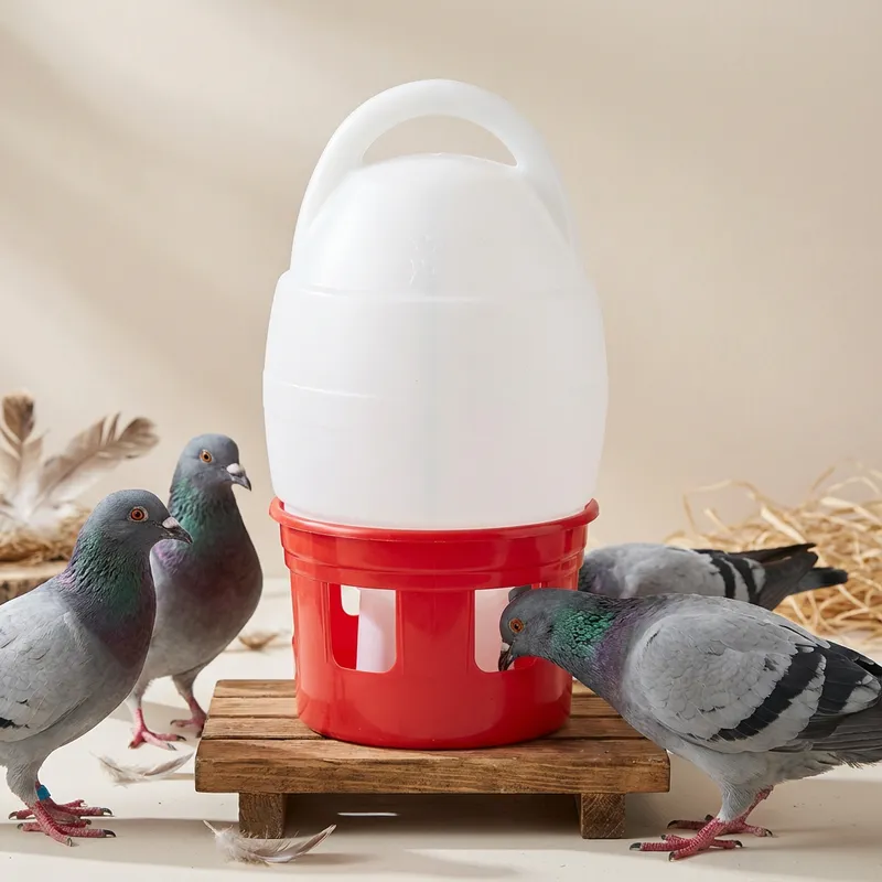 GÜVERCİN SULUĞU 6LT BEYAZ